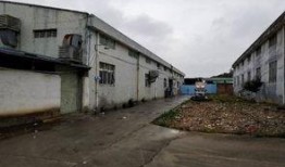 东莞狮岭镇最新爆料,揭秘神秘事件背后的真相